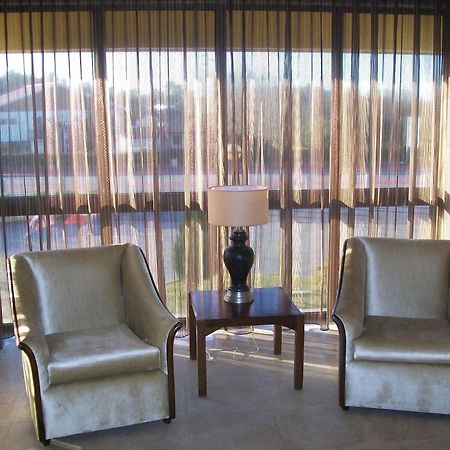 Riabela Inn Torreira Bagian luar foto
